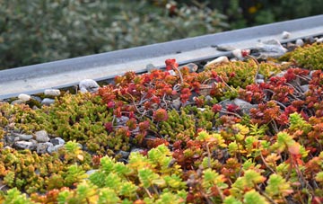 the cost of Gelligaer green roof installation