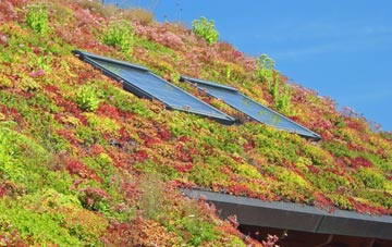 Gelligaer living roof systems